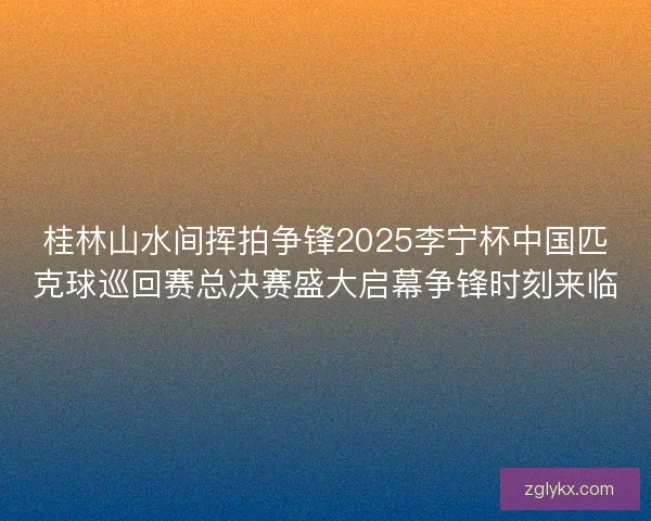 桂林山水间挥拍争锋2025李宁杯中国匹克球巡回赛总决赛盛大启幕争锋时刻来临