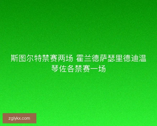 斯图尔特禁赛两场 霍兰德萨瑟里德迪温琴佐各禁赛一场 斯图尔特禁赛两场 霍兰德萨瑟里德迪温琴佐各禁赛一场