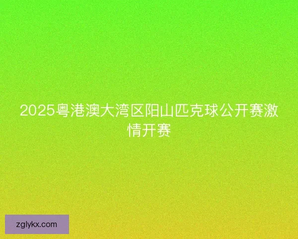 2025粤港澳大湾区阳山匹克球公开赛激情开赛 2025粤港澳大湾区阳山匹克球公开赛激情开赛