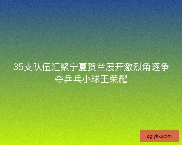 35支队伍汇聚宁夏贺兰展开激烈角逐争夺乒乓小球王荣耀 35支队伍汇聚宁夏贺兰展开激烈角逐争夺乒乓小球王荣耀