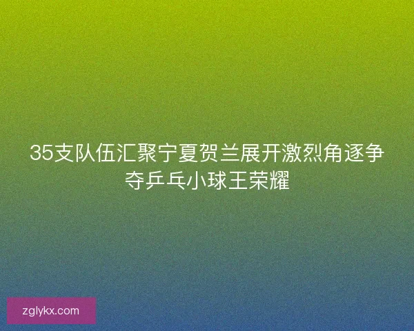 35支队伍汇聚宁夏贺兰展开激烈角逐争夺乒乓小球王荣耀 35支队伍汇聚宁夏贺兰展开激烈角逐争夺乒乓小球王荣耀
