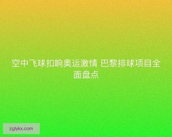 空中飞球扣响奥运激情 巴黎排球项目全面盘点