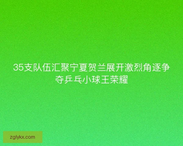 35支队伍汇聚宁夏贺兰展开激烈角逐争夺乒乓小球王荣耀 35支队伍汇聚宁夏贺兰展开激烈角逐争夺乒乓小球王荣耀