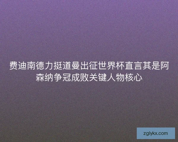 费迪南德力挺道曼出征世界杯直言其是阿森纳争冠成败关键人物核心 费迪南德力挺道曼出征世界杯直言其是阿森纳争冠成败关键人物核心