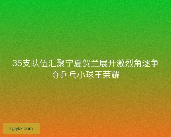 35支队伍汇聚宁夏贺兰展开激烈角逐争夺乒乓小球王荣耀 35支队伍汇聚宁夏贺兰展开激烈角逐争夺乒乓小球王荣耀