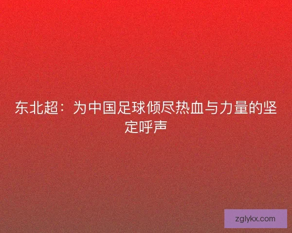 东北超：为中国足球倾尽热血与力量的坚定呼声